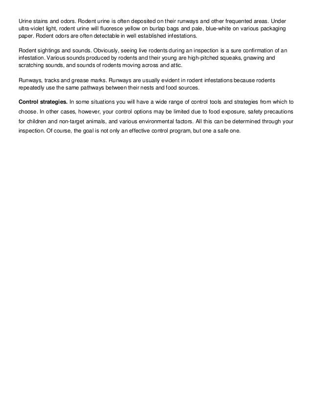 Rodent Urine Puddle Example Course Roof Rats What You Need To Know.pptx