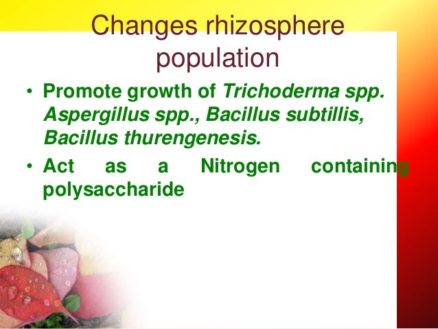 Chitosan in agriculture context