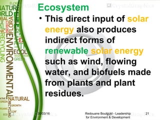 Ecosystem
• This direct input of solar
energy also produces
indirect forms of
renewable solar energy
such as wind, flowing...