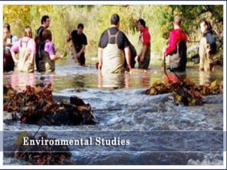 Ecosystem
30/03/16 81Redouane Boulguid - Leadership for Environment & Development
 