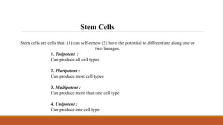 Stem Cells
Stem cells are cells that: (1) can self-renew (2) have the potential to differentiate along one or
two lineages.
1. Totipotent :
Can produce all cell types
2. Pluripotent :
Can produce most cell types
3. Multipotent :
Can produce more than one cell type
4. Unipotent :
Can produce one cell type
 