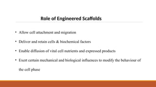 Role of Engineered Scaffolds
• Allow cell attachment and migration
• Deliver and retain cells & biochemical factors
• Enable diffusion of vital cell nutrients and expressed products
• Exert certain mechanical and biological influences to modify the behaviour of
the cell phase
 