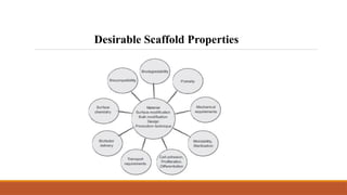Desirable Scaffold Properties
 