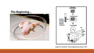 Langer R1, Vacanti JP., Tissue engineering, Science, 1993
The Beginning…
 