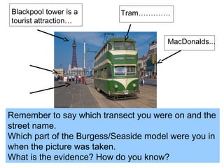 Blackpool tower is a
tourist attraction…
MacDonalds...
Remember to say which transect you were on and the
street name.
Which part of the Burgess/Seaside model were you in
when the picture was taken.
What is the evidence? How do you know?
Tram………….
 