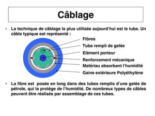 30
CNAM
Cours B11 - TRANSMISSION DES TELECOMMUNICATIONS - Partie 2 - Chapitre 5
• La technique de câblage la plus utilisée aujourd’hui est le tube. Un
câble typique est représenté :
• La fibre est posée en long dans des tubes remplis d’une gelée de
pétrole, qui la protège de l’humidité. De nombreux types de câbles
peuvent être réalisés par assemblage de ces tubes.
Câblage
Fibres
Tube rempli de gelée
Elément porteur
Renforcement mécanique
Gaine extérieure Polyéthylène
Matériau absorbant l’humidité
 