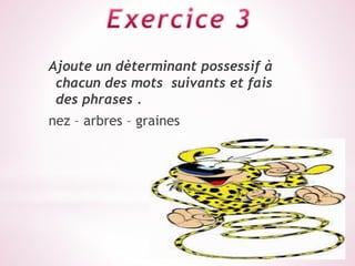 Ajoute un dèterminant possessif à
chacun des mots suivants et fais
des phrases .
nez – arbres – graines
 