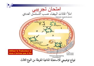 ‫اﻟﻌﺪدي‬ ‫ﺴﻠﺴﻞ‬ ‫اﻟ‬ ‫ﺣﺴﺐ‬ ‫اﻟﺒﯿﻀﺎء‬ ‫ت‬ ‫اﳋﺎ‬ ٔ ‫اﻣ‬
‫ﺗﺟرﯾﺑﻲ‬ ‫اﻣﺗﺣﺎن‬
‫اﻟﺜﺎﻟﺚ‬ ‫اﻟﻨﻮع‬ ‫ﻣﻦ‬ ‫اﳌﻔﺮﻃﺔ‬ ‫اﳌﻨﺎﻋﯿﺔ‬ ‫ﺎﺑﺔ‬ ‫ﻟﻼﺳﺘ‬ ‫ﺗﻮﺿﯿﺤﻲ‬ ‫ﳕﻮذج‬
Utiliser le Traducteur si
vous n’arrivez pas à lire
 