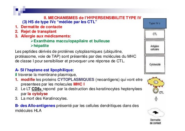 Cours Hypersensibilité De Type Iv Pharmacie 2017 - 
