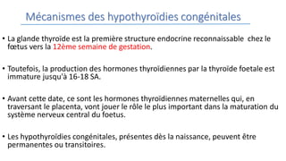 Mécanismes des hypothyroïdies congénitales
• La glande thyroïde est la première structure endocrine reconnaissable chez le
fœtus vers la 12ème semaine de gestation.
• Toutefois, la production des hormones thyroïdiennes par la thyroïde foetale est
immature jusqu'à 16-18 SA.
• Avant cette date, ce sont les hormones thyroïdiennes maternelles qui, en
traversant le placenta, vont jouer le rôle le plus important dans la maturation du
système nerveux central du foetus.
• Les hypothyroïdies congénitales, présentes dès la naissance, peuvent être
permanentes ou transitoires.
 