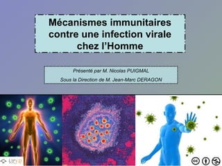 Mécanismes immunitaires
contre une infection virale
      chez l’Homme

       Présenté par M. Nicolas PUIGMAL
  Sous la Direction de M. Jean-Marc DERAGON
 