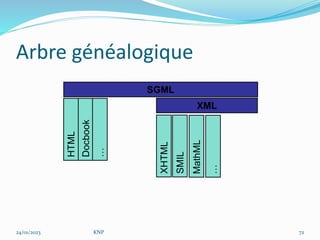Arbre généalogique
SGML
XML
HTML
Docbook
…
XHTML
SMIL
MathML
…
24/01/2023 KNP 72
 