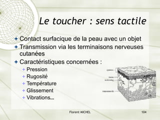 Florent MICHEL 104
ª Contact surfacique de la peau avec un objet
ª Transmission via les terminaisons nerveuses
cutanées
ª Caractéristiques concernées :
ªPression
ªRugosité
ªTempérature
ªGlissement
ªVibrations…
Le toucher : sens tactile
 