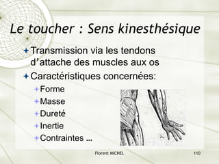 Florent MICHEL 110
Le toucher : Sens kinesthésique
ªTransmission via les tendons
d’attache des muscles aux os
ªCaractéristiques concernées:
ªForme
ªMasse
ªDureté
ªInertie
ªContraintes …
 