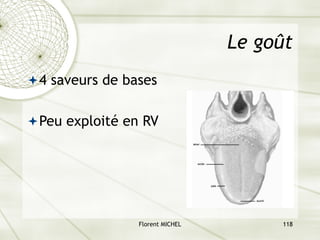 Florent MICHEL 118
Le goût
ª4 saveurs de bases
ªPeu exploité en RV
 