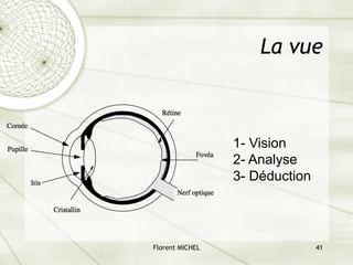 Florent MICHEL 41
La vue
1- Vision
2- Analyse
3- Déduction
 