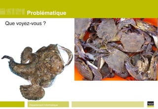 Département Informatique
Problématique
Que voyez-vous ?
 