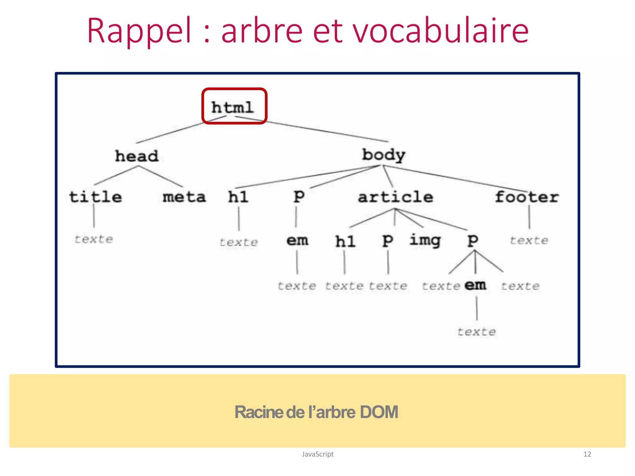 Rappel : arbre et vocabulaire
JavaScript 12
Racinedel’arbre DOM
 