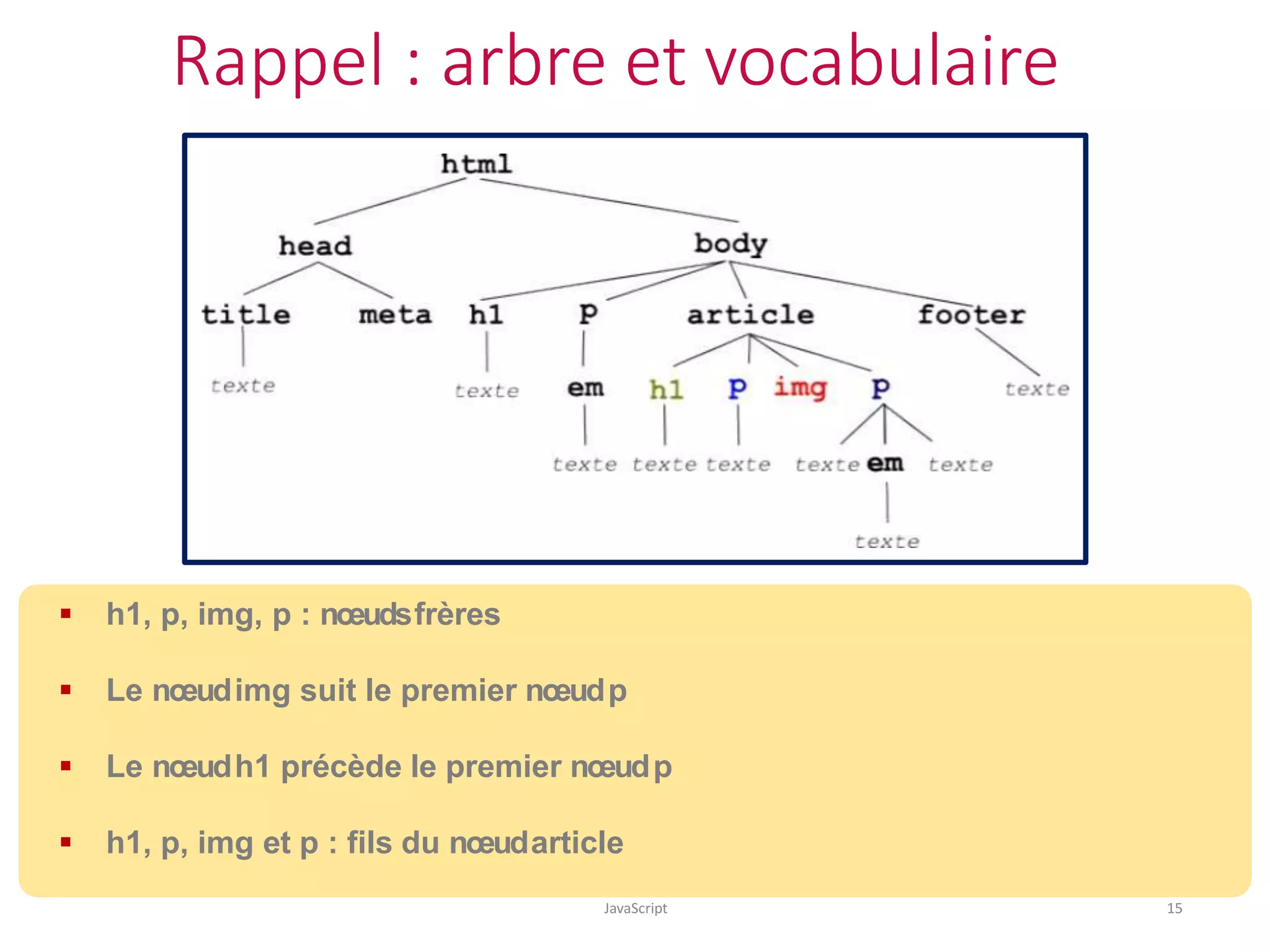 Rappel : arbre et vocabulaire
JavaScript 15
 h1, p, img, p : nœudsfrères
 Le nœudimg suit le premier nœudp
 Le nœudh1 précède le premier nœudp
 h1, p, img et p : fils du nœudarticle
 