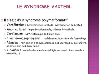  Il

s’agit d’un syndrome polymalformatif

 Vertébrales

: hémivertèbre, scoliose, malformation des cotes.
 Ano-rectales : imperforation anale, sténose intestinale.
 Cardiaques : CIV, tétralogie de Fallot, PCA
 Trachéo-oEsophagiens : trachéomalacie, atrésie de l’œsophage.
 Rénales : rein en fer à cheval, anomalie des uretères ou de l’urètre,
absence d’un des deux reins.

 « Limb » : anomalie des membres (doigts surnuméraires, membre
atrophié,…)

 