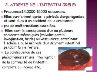  Frequence:1/10000-15000

naissances.
 Elles surviennent après la période d’organogenèse
et sont dues à un accident de la croissance
 pas de malformations associées.
 Elles sont la conséquence d’un ou plusieurs
accidents mécaniques (volvulus partiel,
invagination, bride) ou vasculaires, entraînant
l’ischémie ou la nécrose d’un segment intestinal
pendant la vie fœtale.
 La conséquence de ces
phénomènes est une interruption
de la continuité de l’intestin,
complète ou incomplète.

 
