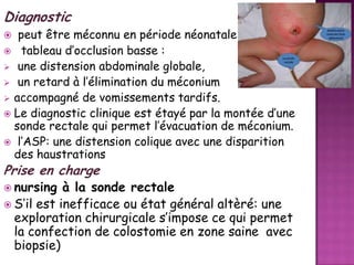 Diagnostic
peut être méconnu en période néonatale
 tableau d’occlusion basse :
 une distension abdominale globale,
 un retard à l’élimination du méconium
 accompagné de vomissements tardifs.
 Le diagnostic clinique est étayé par la montée d’une
sonde rectale qui permet l’évacuation de méconium.
 l’ASP: une distension colique avec une disparition
des haustrations


Prise en charge
 nursing

à la sonde rectale
 S’il est inefficace ou état général altèré: une
exploration chirurgicale s’impose ce qui permet
la confection de colostomie en zone saine avec
biopsie)

 
