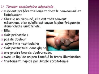 1/ Torsion testiculaire néonatale
 survient préférentiellement chez le nouveau-né et
l’adolescent
 Chez le nouveau-né, elle est très souvent
méconnue, bien qu’elle est cause la plus fréquente
d’anorchidie unilatérale.
 Elle:
 Soit prénatale :
 pas de doulour
 asymétrie testiculaire
 Soit postnatale: dans qlq heures ou qlq jours
 une grosse bourse douloureuse,
 avec un liquide un peu foncé à la trans-illumination
 traitement :rapide par simple scrototomie

 