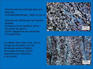La foliation fans cette roche est un
clivage de crénulation et il est
développé aprés la foliation
horizontale primaire. (Cette
diapositive est indicative
d'un schist)
foliation est une fabrique plan aire
dans une
rochemétamorphique. Dans ce cas, le
foliation est définie par les feuilles
alignées
de muscovite en sandwich entre
les grains de quartz.
(Cette diapositive est indicative
d'un phyllithe)
 