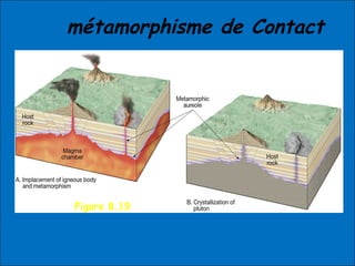 métamorphisme de Contact
Figure 8.19
 