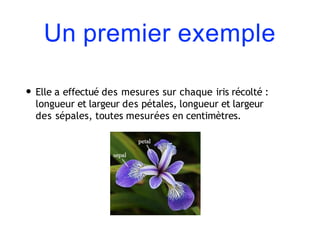Un premier exemple
• Elle a effectué des mesures sur chaque iris récolté :
longueur et largeur des pétales, longueur et largeur
des sépales, toutes mesurées en centimètres.
 