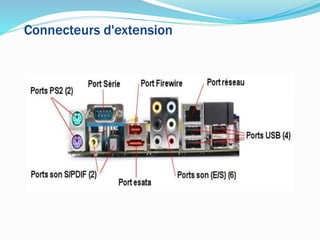 Connecteurs d'extension
 
