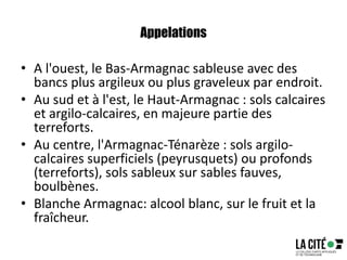 Appelations
• A l'ouest, le Bas-Armagnac sableuse avec des
bancs plus argileux ou plus graveleux par endroit.
• Au sud et à l'est, le Haut-Armagnac : sols calcaires
et argilo-calcaires, en majeure partie des
terreforts.
• Au centre, l'Armagnac-Ténarèze : sols argilo-
calcaires superficiels (peyrusquets) ou profonds
(terreforts), sols sableux sur sables fauves,
boulbènes.
• Blanche Armagnac: alcool blanc, sur le fruit et la
fraîcheur.
 