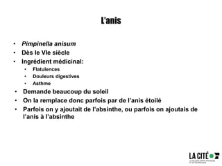 L’anis
• Pimpinella anisum
• Dès le VIe siècle
• Ingrédient médicinal:
• Flatulences
• Douleurs digestives
• Asthme
• Demande beaucoup du soleil
• On la remplace donc parfois par de l’anis étoilé
• Parfois on y ajoutait de l’absinthe, ou parfois on ajoutais de
l’anis à l’absinthe
 