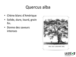 Quercus alba
• Chène blanc d’Amérique
• Solide, dure, lourd, grain
fin.
• Donne des saveurs
intenses
75
 