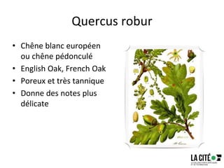 Quercus robur
• Chêne blanc européen
ou chêne pédonculé
• English Oak, French Oak
• Poreux et très tannique
• Donne des notes plus
délicate
76
 