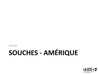 SOUCHES - AMÉRIQUE
Levures
 