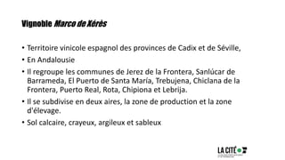 Vignoble Marco de Xérès
• Territoire vinicole espagnol des provinces de Cadix et de Séville,
• En Andalousie
• Il regroupe les communes de Jerez de la Frontera, Sanlúcar de
Barrameda, El Puerto de Santa María, Trebujena, Chiclana de la
Frontera, Puerto Real, Rota, Chipiona et Lebrija.
• Il se subdivise en deux aires, la zone de production et la zone
d'élevage.
• Sol calcaire, crayeux, argileux et sableux
 