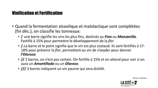 Vinification et Fortification
• Quand la fermentation alcoolique et malolactique sont complétées
(fin déc.), on classifie les tonneaux:
• / une barre signifie les vins les plus fins, destinés au Fino ou Manzanilla.
Fortifié à 15% pour permettre le développement de la flor
• /.La barre et le point signifie que le vin est plus costaud. Ils sont fortifiés à 17-
18% pour prévenir la flor, permettant au vin de s’oxyder pour donner
l’Oloroso
• // 2 barres, on n’est pas certain. On fortifie à 15% et on attend pour voir si on
aura un Amontillado ou un Oloroso.
• /// 3 barres indiquent un vin pauvre qui sera distillé.
Photo: El Pantera
 