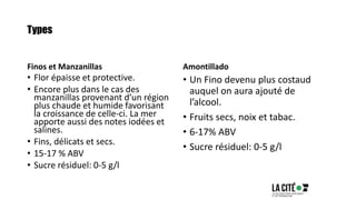 Types
Finos et Manzanillas
• Flor épaisse et protective.
• Encore plus dans le cas des
manzanillas provenant d’un région
plus chaude et humide favorisant
la croissance de celle-ci. La mer
apporte aussi des notes iodées et
salines.
• Fins, délicats et secs.
• 15-17 % ABV
• Sucre résiduel: 0-5 g/l
Amontillado
• Un Fino devenu plus costaud
auquel on aura ajouté de
l’alcool.
• Fruits secs, noix et tabac.
• 6-17% ABV
• Sucre résiduel: 0-5 g/l
 