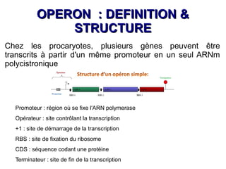 Cours génétique bactérienne : opéron lactose | ODP