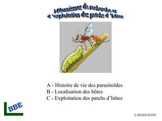 A - Histoire de vie des parasitoïdes
B - Localisation des hôtes
C - Exploitation des patchs d’hôtes
E.DESOUHANT
 