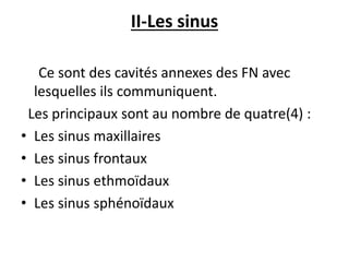 II-Les sinus
Ce sont des cavités annexes des FN avec
lesquelles ils communiquent.
Les principaux sont au nombre de quatre(4) :
• Les sinus maxillaires
• Les sinus frontaux
• Les sinus ethmoïdaux
• Les sinus sphénoïdaux
 