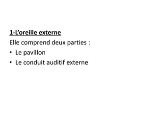 1-L’oreille externe
Elle comprend deux parties :
• Le pavillon
• Le conduit auditif externe
 