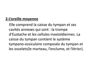 2-L’oreille moyenne
Elle comprend la caisse du tympan et ses
cavités annexes qui sont : la trompe
d’Eustache et les cellules mastoïdiennes. La
caisse du tympan contient le système
tympano-ossiculaire composée du tympan et
les osselets(le marteau, l’enclume, et l’étrier).
 