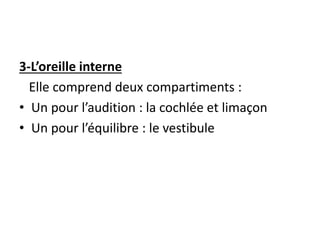 3-L’oreille interne
Elle comprend deux compartiments :
• Un pour l’audition : la cochlée et limaçon
• Un pour l’équilibre : le vestibule
 