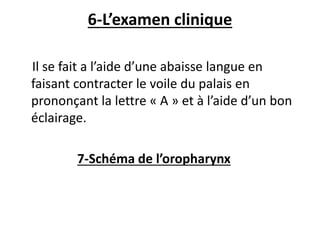 6-L’examen clinique
Il se fait a l’aide d’une abaisse langue en
faisant contracter le voile du palais en
prononçant la lettre « A » et à l’aide d’un bon
éclairage.
7-Schéma de l’oropharynx
 