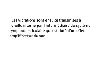 Les vibrations sont ensuite transmises à
l’oreille interne par l’intermédiaire du système
tympano-ossiculaire qui est doté d’un effet
amplificateur du son
 