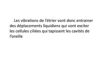 Les vibrations de l’étrier vont donc entrainer
des déplacements liquidiens qui vont exciter
les cellules ciliées qui tapissent les cavités de
l’oreille
 
