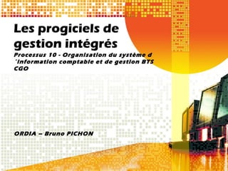 Les progiciels de
gestion intégrés
Processus 10 - Organisation du système d
´information comptable et de gestion BTS
CGO




ORDIA – Bruno PICHON
 