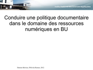 Conduire une politique documentaire
 dans le domaine des ressources
        numériques en BU




     Damien Belvèze, INSA de Rennes, 2012
 